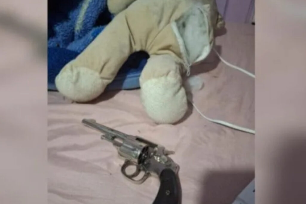 sc:-mulher-e-presa-apos-arma-ser-encontrada-em-urso-de-pelucia