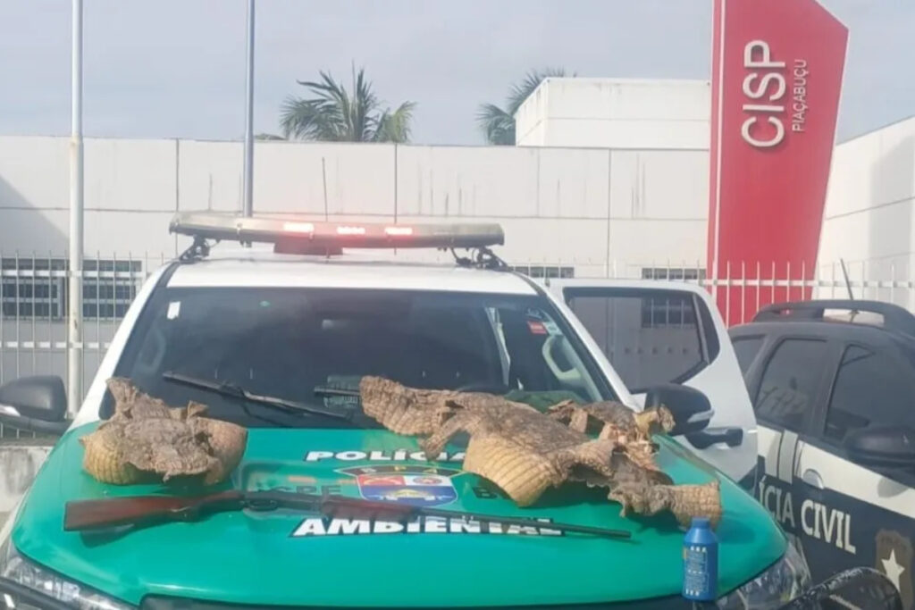 policia-apreende-espingarda-e-pele-de-tres-jacares-em-alagoas