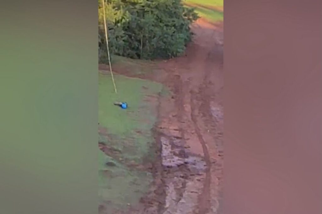 Menino de 9 anos se feriu 3 meses antes da queda fatal de jovem sem corda de segurança menino-de-9-anos-se-feriu-3-meses-antes-da-queda-fatal-de-jovem-sem-corda-de-seguranca