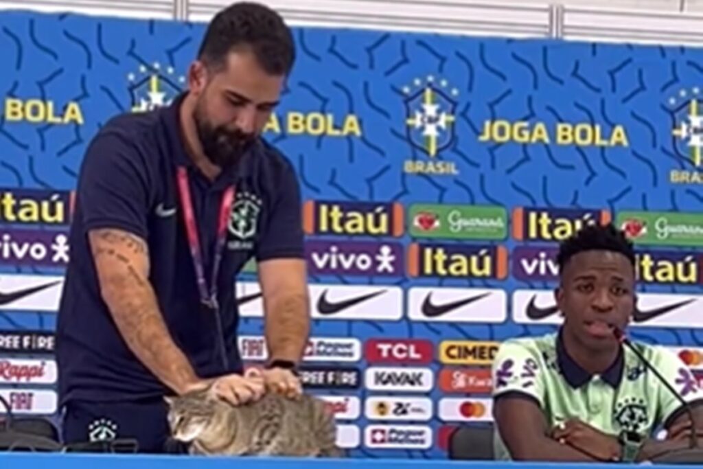 O que é a “maldição do gato” associada à eliminação do Brasil na Copa o-que-e-a-“maldicao-do-gato”-associada-a-eliminacao-do-brasil-na-copa