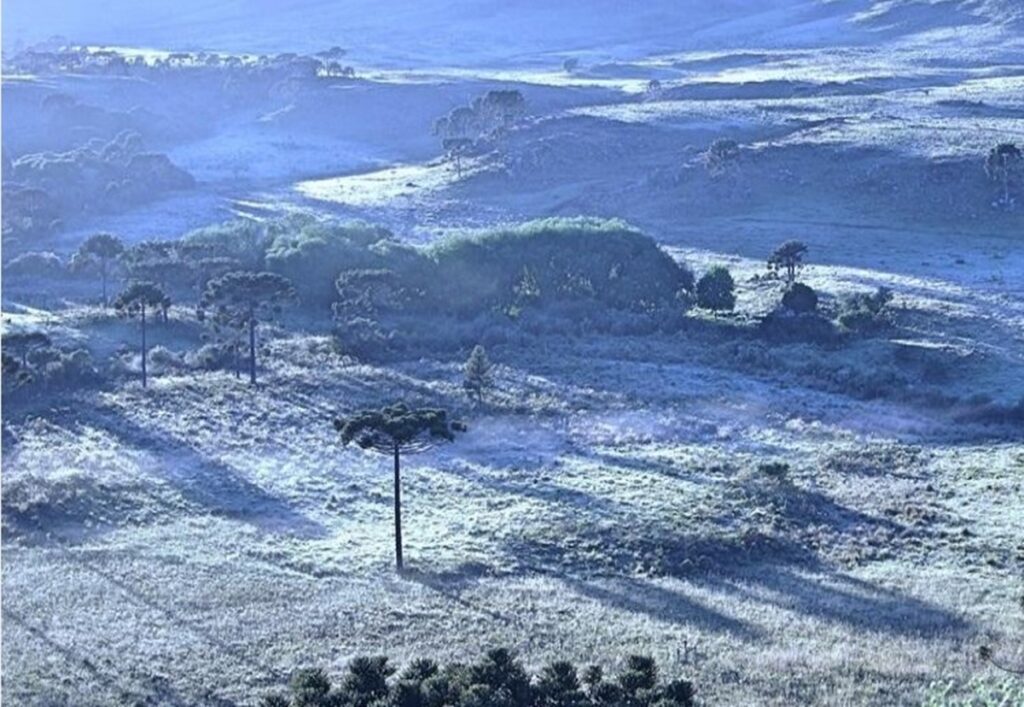clima:-geadas-e-termometros-abaixo-de-0oc-no-sul-marcam-esta-terca