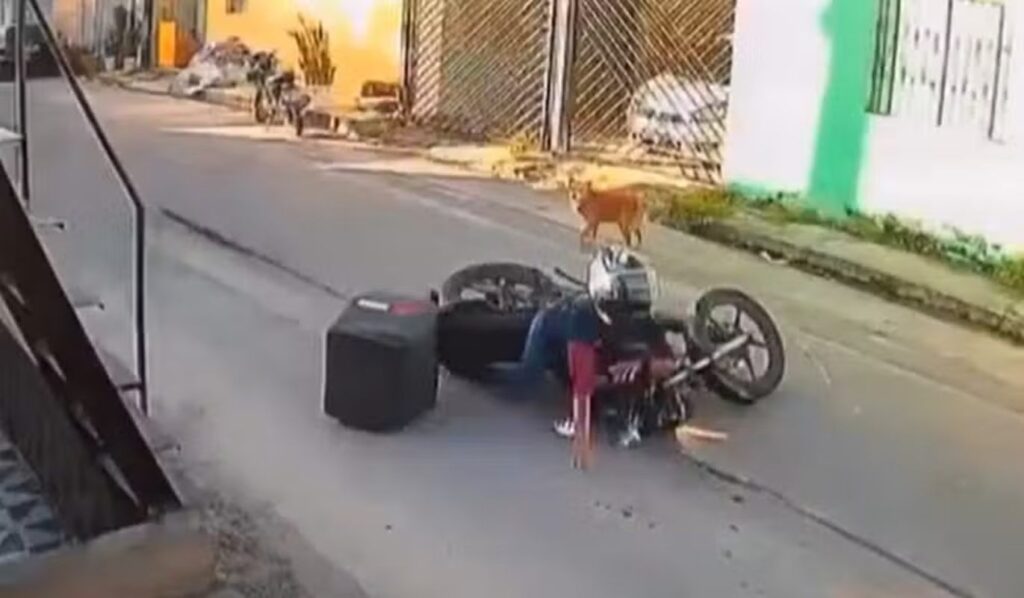 Motociclista ganha R$ 279 mil de indenização ao cair em rua esburacada motociclista-ganha-r$-279-mil-de-indenizacao-ao-cair-em-rua-esburacada