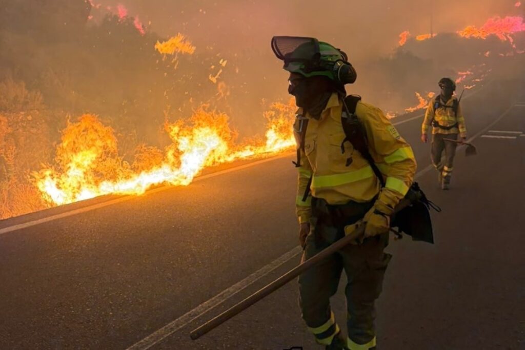 incendio-florestal-deixa-ao-menos-12-mortos-na-espanha