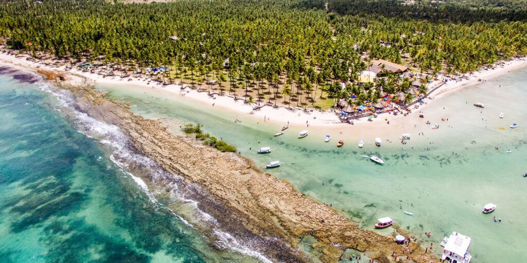Barulho de barco e de turistas afeta comunicação de peixes, diz estudo barulho-de-barco-e-de-turistas-afeta-comunicacao-de-peixes,-diz-estudo