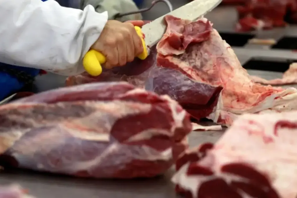 Exportando 3,5 milhões de toneladas e faturando 18,03 bilhões de dólares, a exportação de carne bovina do Brasil bateu recorde histórico em 2025, com o volume crescendo 20,9% e a receita saltando 40,1%, num ano de forte valorização do produto