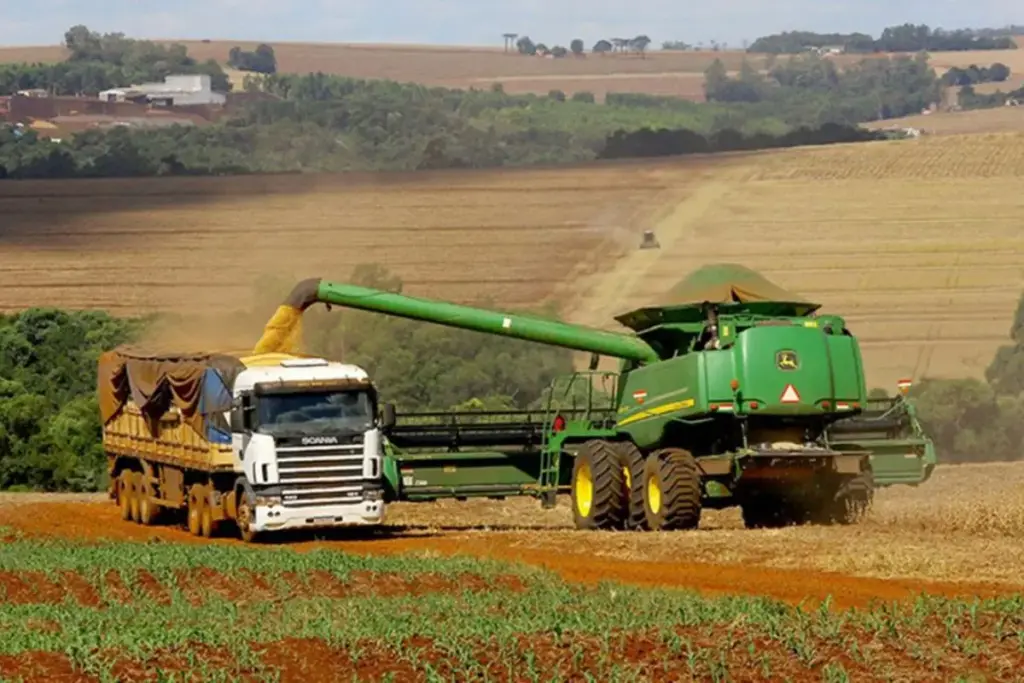 Produzindo cerca de 3,92 milhões de toneladas e batendo recorde na safra, a produção de algodão do Brasil avançou em 2025 e puxou a exportação, que manteve o país na liderança mundial, com cerca de 2,8 milhões de toneladas embarcadas
