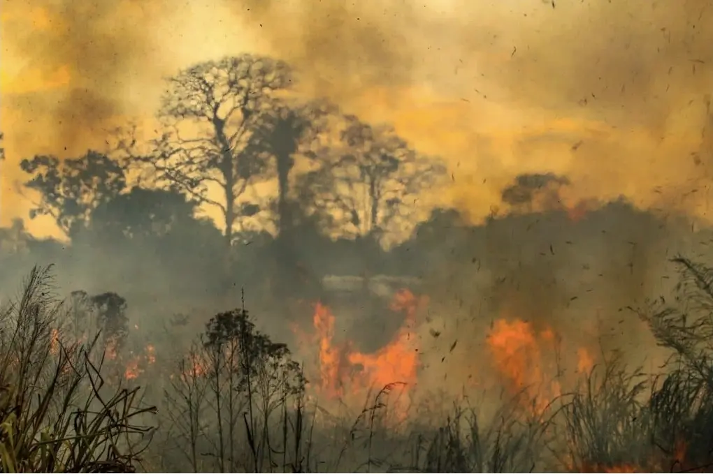 12 municípios do Acre superam limite de poluição da OMS antes do auge da seca