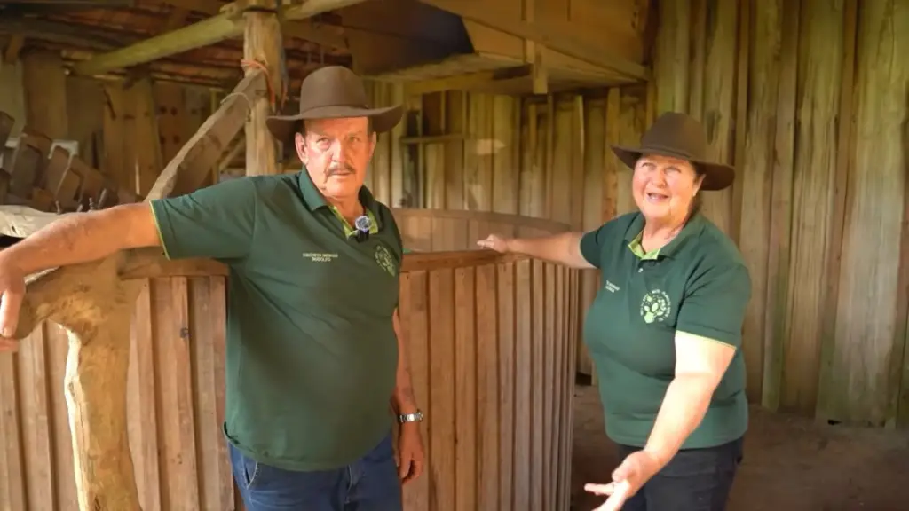 Eles mantêm vivo um barbaquá de 125 anos! Casal preserva técnica herdada de imigrante alemão que levava 30 dias para vender erva-mate em carretão, usa mula, roda de fogo e atrai turistas do Brasil e até do Uruguai