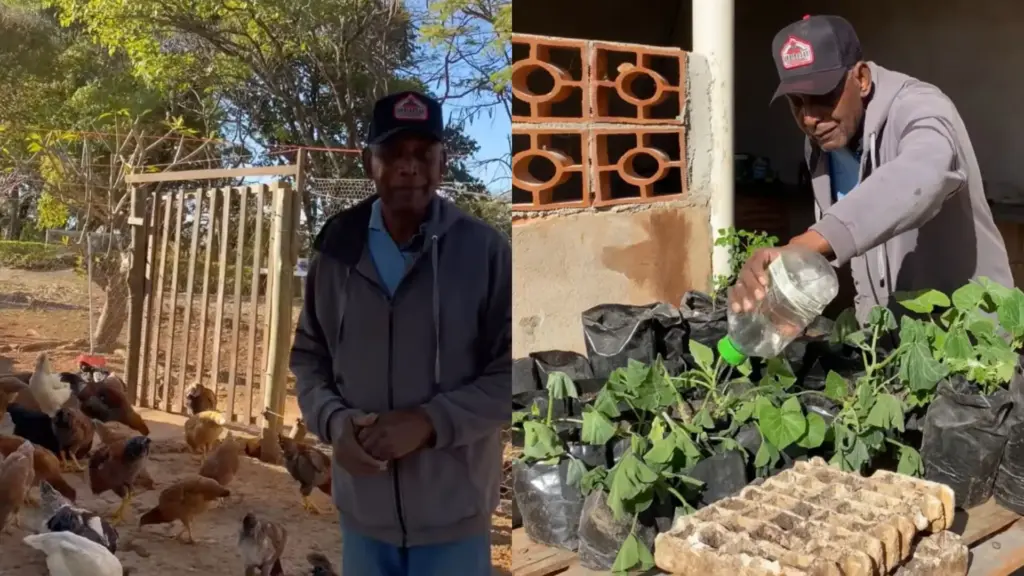 Ele trocou o cargo de gerente de uma empresa italiana por um pequeno sítio em Minas Gerais e, aos 79 anos, cultiva horta, cria galinhas e afirma que abriu mão de um alto salário para conquistar algo que o dinheiro não comprava: qualidade de vida