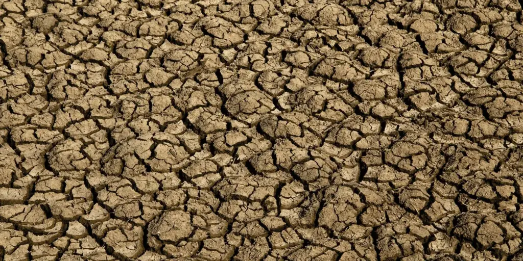 Risco de desertificação no Brasil ameaça segurança hídrica e alimentar