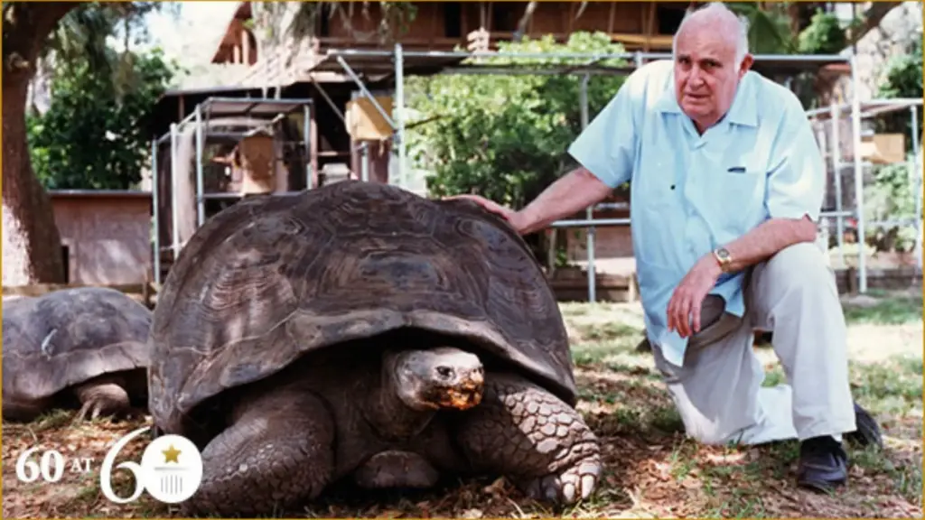 Goliath, a maior tartaruga terrestre já pesada no mundo, chegou a 417 kg, tinha casco com mais de quase 2 metros de largura e um corpo tão colossal que superava o peso de muitos ursos