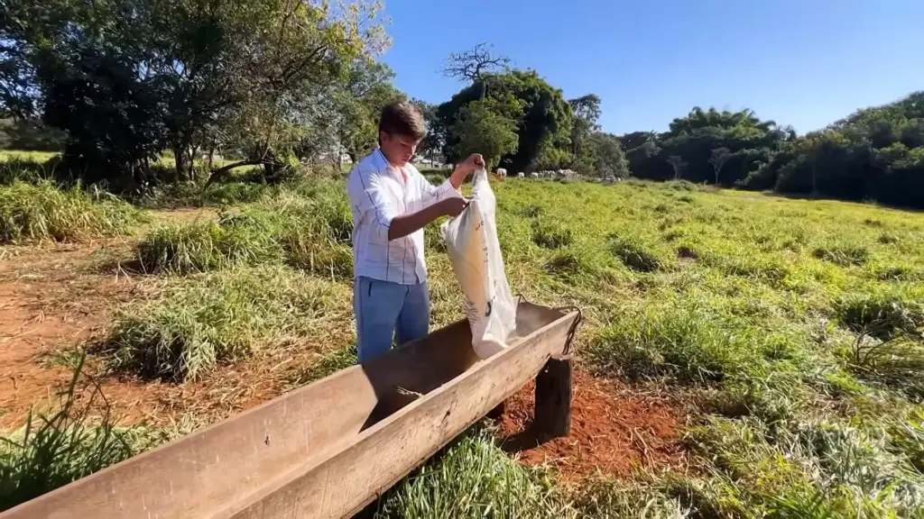 Jovem mineiro de apenas 15 anos assume 70 cabeças de gado, controla o manejo e a alimentação do rebanho e surpreende grandes fazendeiros em Tupaciguara