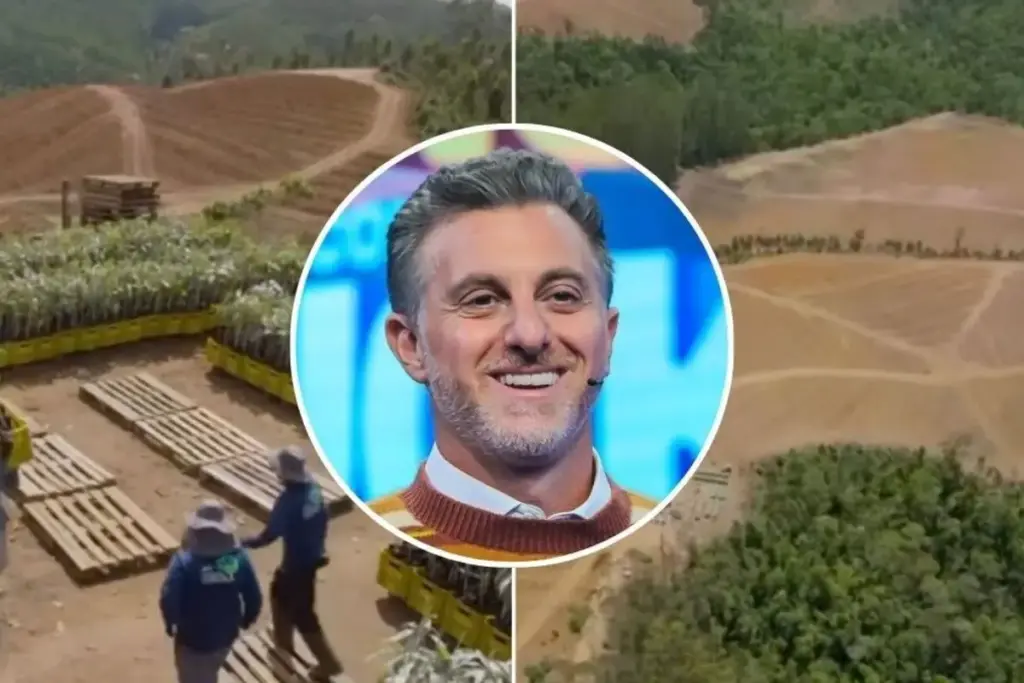 Aos 54 anos, Luciano Huck mantém 25 hectares de avocado Hass na Serra da Mantiqueira, substitui parte do antigo plantio de eucalipto e prepara a primeira colheita comercial da Fazenda Karacy, prevista para começar em outubro de 2026 no campo