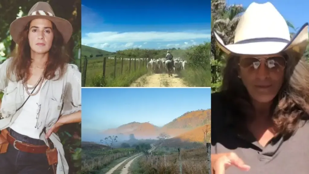 Aos 68 anos, Lúcia Veríssimo deixou as novelas há 12 anos e passou a viver em uma fazenda na Zona da Mata mineira, onde preserva Mata Atlântica, protege minas d’água, planta feijão, milho, hortaliças e frutas e mantém cavalos, aves, bovinos e caprinos em regime livre