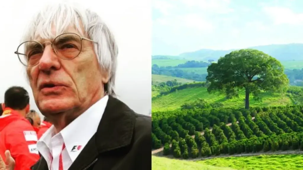 Bernie Ecclestone transformou a Fórmula 1 em fenômeno global, acumulou fortuna estimada em US$ 2,6 bilhões e, longe da velocidade das pistas, passou a dividir a rotina com uma fazenda de 202 hectares em São Paulo, onde produz café, reúne nascentes de água mineral e encontrou um refúgio no campo Bernie Ecclestone transformou a Fórmula 1 em fenômeno global, acumulou fortuna estimada em US$ 2,6 bilhões e, longe da velocidade das pistas, passou a dividir a rotina com uma fazenda de 202 hectares em São Paulo, onde produz café, reúne nascentes de água mineral e encontrou um refúgio no campo