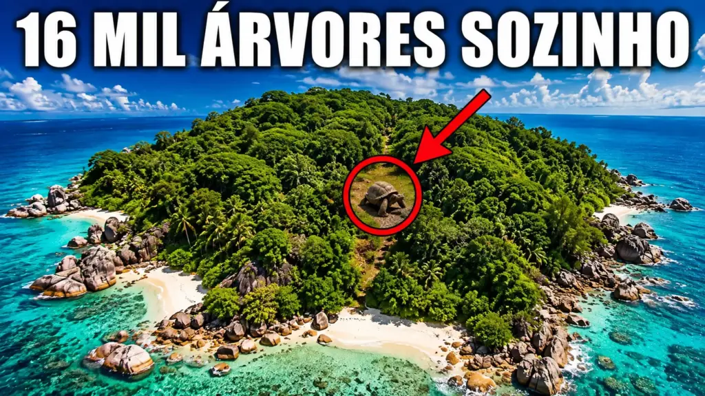 Britânico compra uma ilha deserta e devastada, passa 60 anos plantando sozinho 16 mil árvores, reconstrói uma floresta inteira, recupera o ecossistema e transforma o território abandonado em santuário para tartarugas gigantes ameaçadas Britânico compra uma ilha deserta e devastada, passa 60 anos plantando sozinho 16 mil árvores, reconstrói uma floresta inteira, recupera o ecossistema e transforma o território abandonado em santuário para tartarugas gigantes ameaçadas