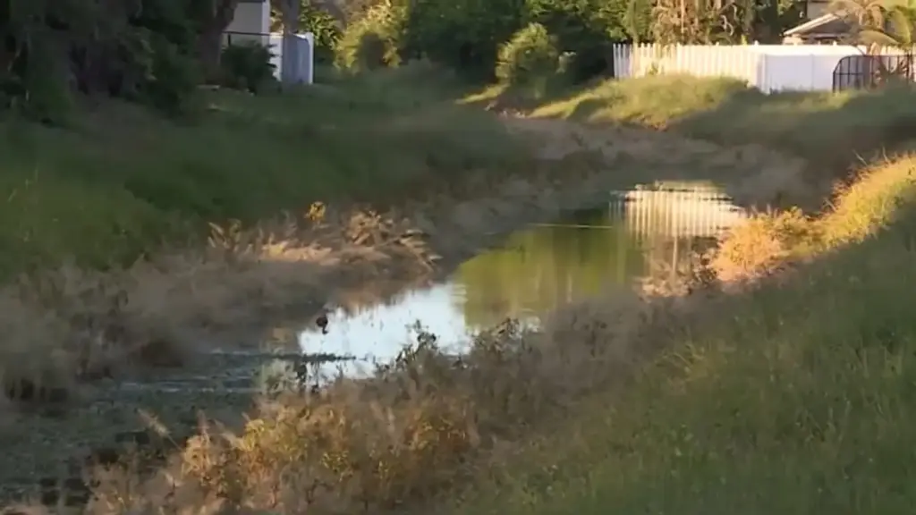 Motorista vê menino autista de 5 anos andando sozinho pela rua, decide segui-lo e minutos depois nota a criança entrando em lago na Flórida, moradores se unem conseguem ajudar cerca de 10 minutos depois