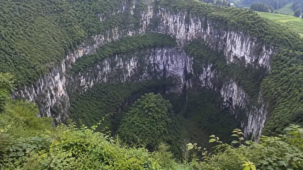 Abismo de até 662 metros na China esconde floresta subtropical com mais de 1.200 espécies, ginkgo e animais raros em um dos maiores tiankengs do mundo