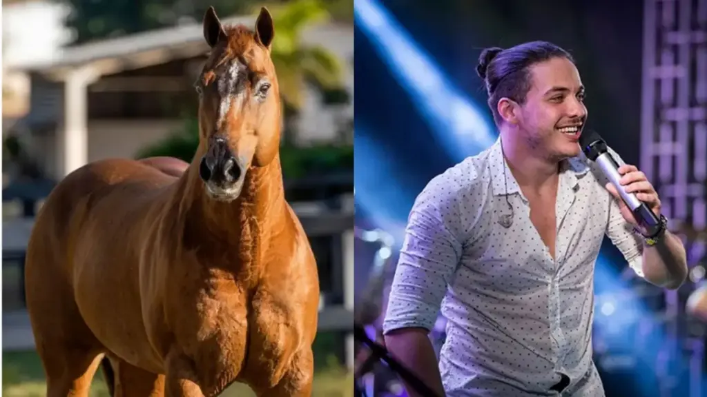 Da rotina de shows aos cavalos milionários, Wesley Safadão, aos 37 anos, mantém em sua fazenda, Don Príncipe no Haras WS, animal comprado por R$ 2,24 milhões, e carrega o legado reprodutivo de A Streak of Fling, que morreu em 2024 nos EUA