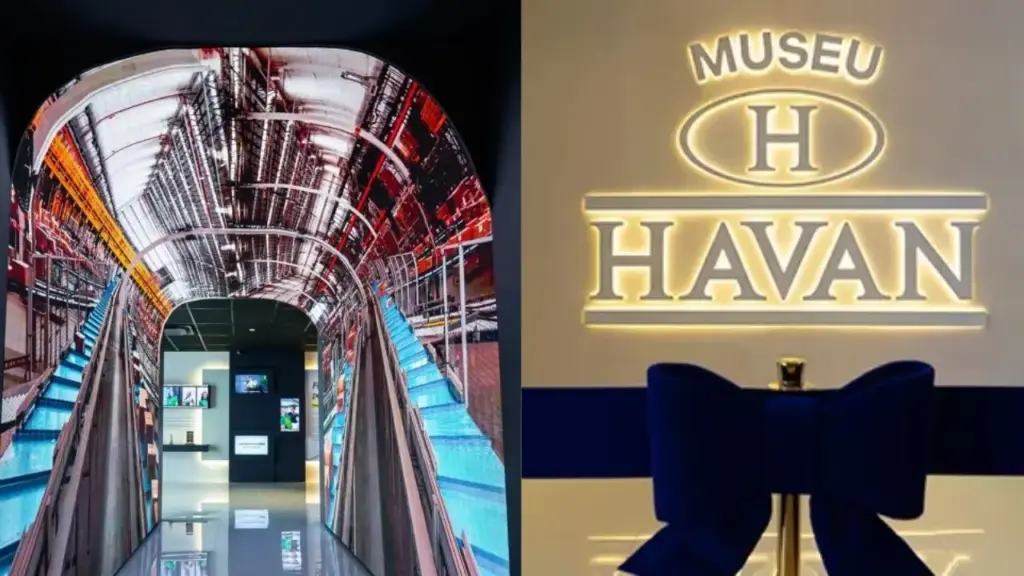 De uma loja de tecidos de apenas 45 m² em Brusque, Luciano Hang transformou a Havan em uma rede de megaloja espalhada pelo Brasil e, 40 anos depois, inaugurou um museu gratuito no centro administrativo da empresa para reunir documentos, objetos, campanhas e registros que contam a trajetória do negócio