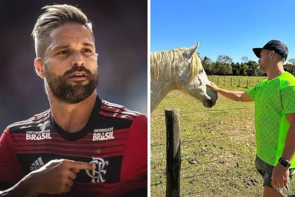 Depois de pendurar as chuteiras no Flamengo, Diego Ribas trocou o Maracanã pela “roça”, a fazenda da família em Ribeirão Preto com casa-sede imponente, lago e criação de cavalos, porcos e vacas, onde o ex-camisa 10 passa as férias entre a piscina e a fogueira