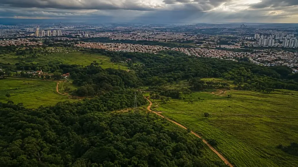 Alphaville oferece R$ 494,48 milhões por área pública de 162 hectares na região de Campinas, no interior de São Paulo, mas Justiça Federal e TCU travam negócio enquanto terreno ligado à União não pode ser transferido