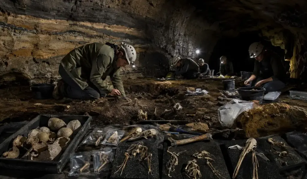 Cientistas entram em caverna na Nova Zelândia e desenterram um “mundo perdido” preservado por cerca de 1 milhão de anos entre camadas de cinzas vulcânicas, com 12 tipos aves desconhecidas, sapos antigos e espécies que a ciência nunca havia descrito