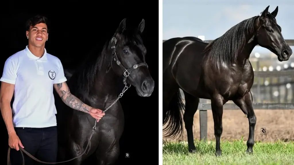Do futebol brasileiro para as pistas de vaquejada, Kaio Jorge construiu um haras de 14,5 hectares em Pernambuco, reuniu 22 cavalos entre competidores e reprodutores e investiu R$ 1 milhão em uma égua Quarto de Milha, entrando em um mercado de criação que movimentou R$ 30 bilhões no país