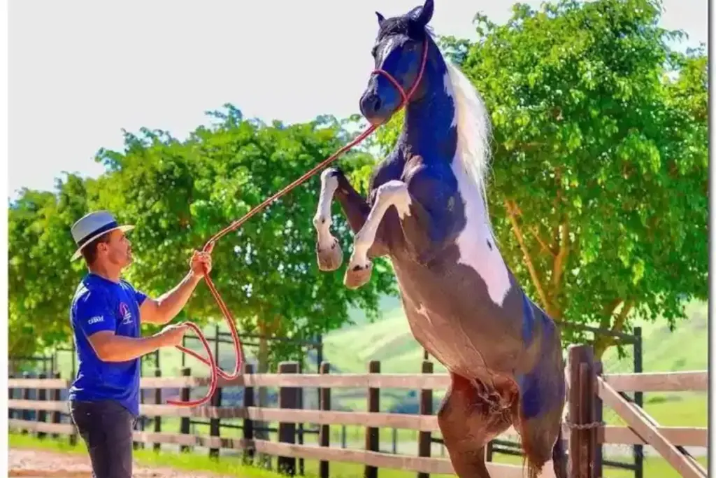 Eduardo Costa transformou a fazenda estimada em R$ 30 milhões em Minas num polo com cerca de 300 cabeças de gado Nelore, cavalos Mangalarga Marchador, produção orgânica, mansão, lago artificial, horta, galinheiro de 90 aves e esquema de segurança reforçado Eduardo Costa transformou a fazenda estimada em R$ 30 milhões em Minas num polo com cerca de 300 cabeças de gado Nelore, cavalos Mangalarga Marchador, produção orgânica, mansão, lago artificial, horta, galinheiro de 90 aves e esquema de segurança reforçado