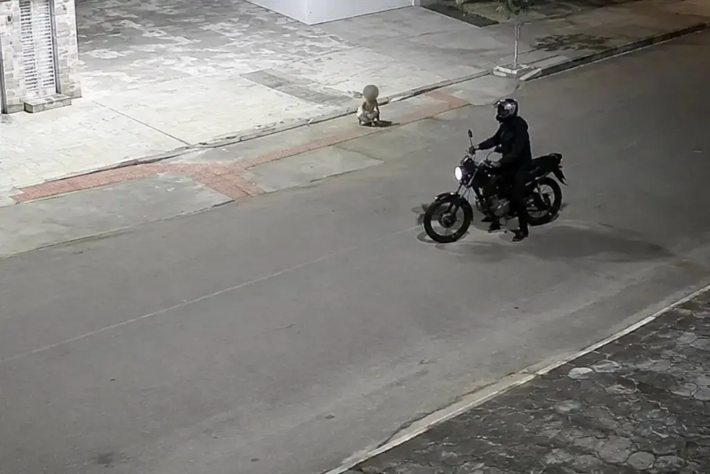 Entregador interrompe as entregas ao encontrar criança de 2 a 3 anos andando sozinha por rua de Goiânia, percorre a região atrás dos responsáveis e devolve o menino em segurança à família