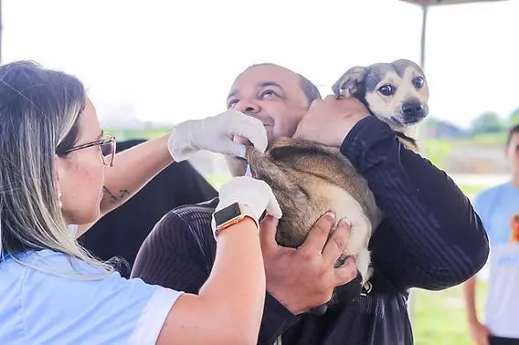 Prefeitura lança campanha de vacinação antirrábica com meta de imunizar cerca de 13 mil animais em Cruzeiro do Sul