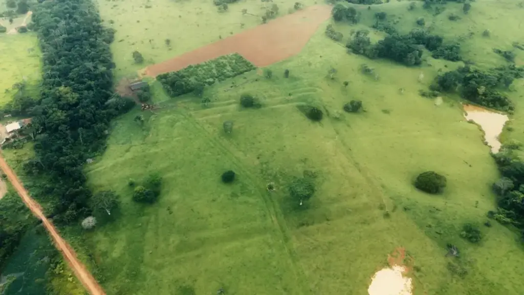 Acre cria novas regras para licenciamento ambiental em áreas com sítios arqueológicos