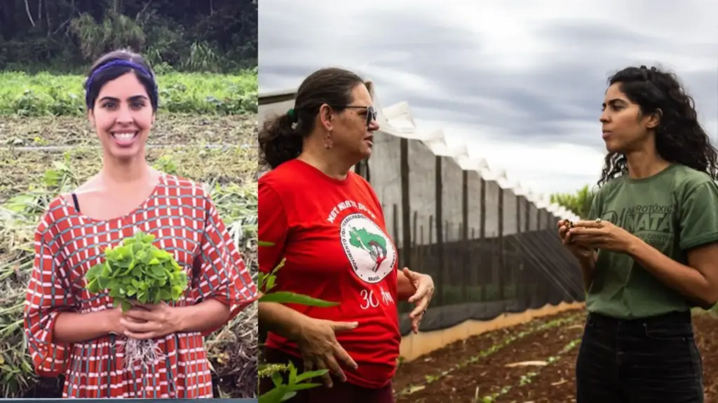 Casa da família de Bela Gil na serra do Rio sai de um campo de futebol invadido por bambu, ganha nova função durante a pandemia, adota a agrofloresta para produzir parte dos alimentos sem depender de insumos químicos e transforma o antigo gramado da propriedade em área de cultivo integrada à floresta