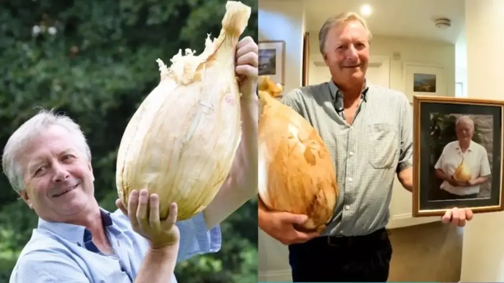 Jardineiro planta uma única semente de cebola, mantém a muda sob luz artificial durante 24 horas por dia, transfere o vegetal para uma estufa e meses depois colhe uma cebola gigante de 8,97 quilos, pesada oficialmente no Reino Unido e reconhecida pelo Guinness como a maior do mundo