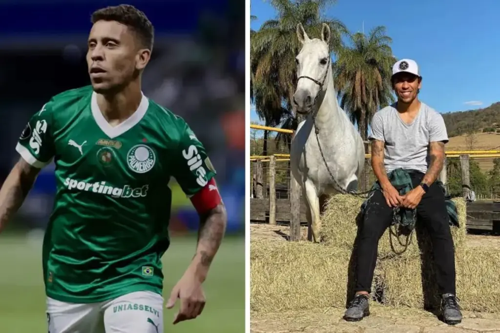 Lateral campeão pelo Palmeiras mantém a 70 quilômetros de Belo Horizonte uma fazenda com gado e o haras batizado com seu nome e número, onde cria cavalos Mangalarga Marchador que já somam títulos em exposições Lateral campeão pelo Palmeiras mantém a 70 quilômetros de Belo Horizonte uma fazenda com gado e o haras batizado com seu nome e número, onde cria cavalos Mangalarga Marchador que já somam títulos em exposições