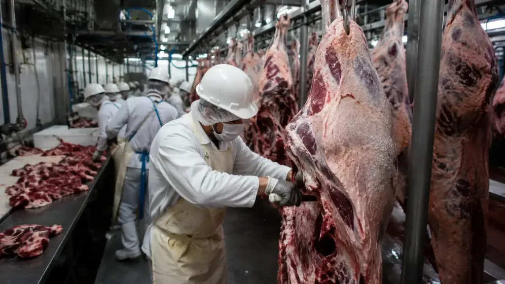 A crise da carne bovina nos EUA ganhou um novo capítulo: frigoríficos entram em alerta, o frango perde força e o mercado brasileiro acompanha cada movimento dos preços das proteínas