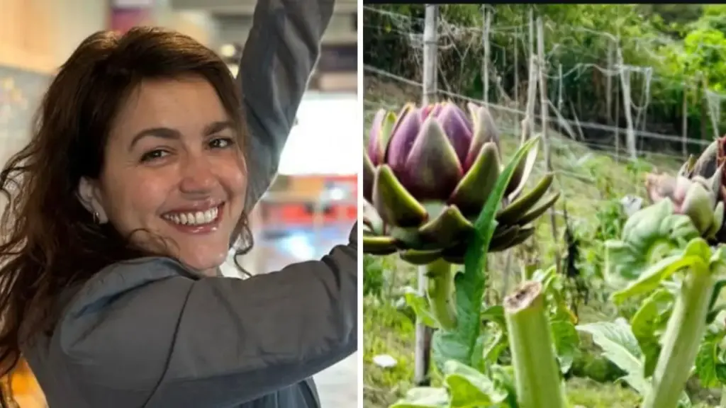 Manuela Dias, autora de Vale Tudo, passou cerca de 20 anos sonhando com um projeto no campo e hoje mantém uma fazenda na serra do Rio com 13 funcionários, produção de alimentos orgânicos, ovos, PANCs e até um minhocário que transforma restos de comida em adubo