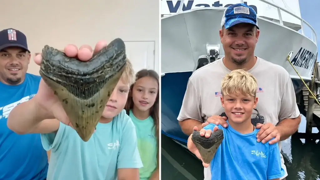 Menino de 11 anos encontra dente de megalodonte preso entre pedras durante férias em Nova Jersey, alcança fóssil onde a mão do pai não cabia e especialistas confirmam peça de espécie extinta há cerca de 3,6 milhões de anos, com menos de cinco dentes encontrados no estado