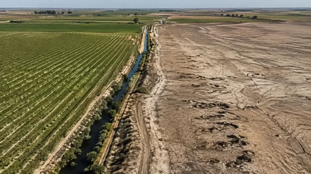 O solo já perdeu até 9 metros de altura em uma das regiões agrícolas mais produtivas do mundo: décadas de bombeamento esvaziaram aquíferos, comprimiram camadas de argila e deixaram parte da deformação subterrânea praticamente permanente