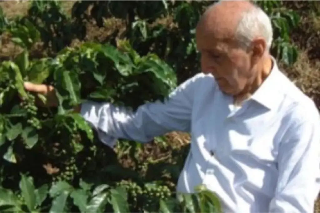 Empresário comprou uma fazenda no Espírito Santo em 1962 e passou 30 anos plantando árvores, protegendo nascentes e recuperando o solo antes de qualquer café, hoje a terra produz grãos orgânicos premiados no exterior e o exótico Café do Jacu Empresário comprou uma fazenda no Espírito Santo em 1962 e passou 30 anos plantando árvores, protegendo nascentes e recuperando o solo antes de qualquer café, hoje a terra produz grãos orgânicos premiados no exterior e o exótico Café do Jacu