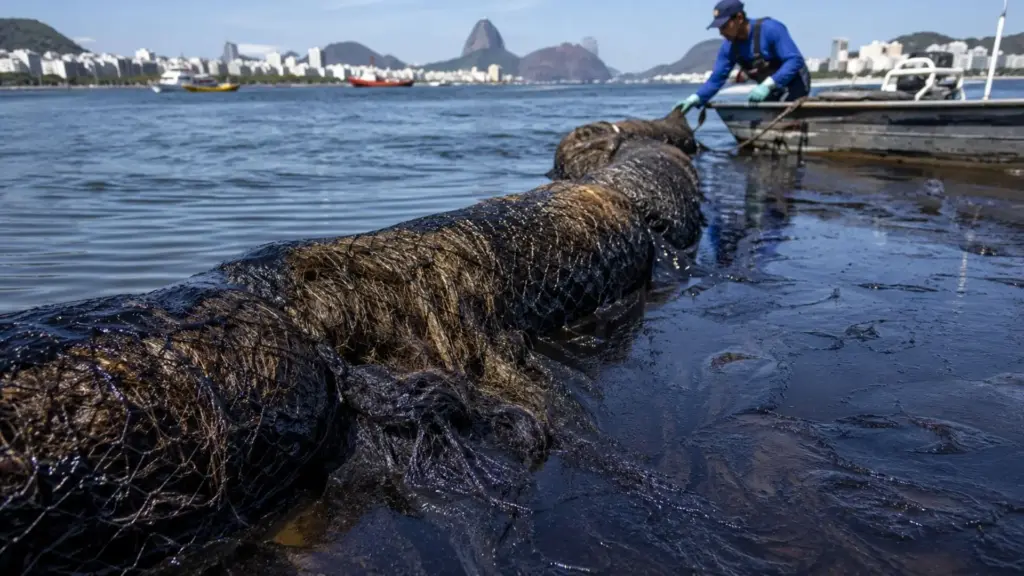 Parece nojento, mas é genial, o cabelo que cai no chão do salão e viraria lixo está sendo jogado no mar para sugar o petróleo que envenena a Baía de Guanabara, numa barreira brasileira que prende a poluição por até quatro meses