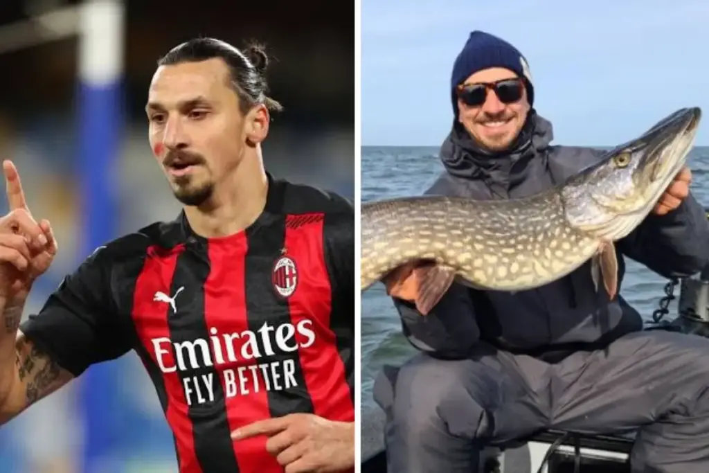 Sempre fora do comum, Ibrahimovic comprou por 3 milhões de euros um bosque de mil hectares na Suécia, somou outra propriedade de mais de 10 mil hectares perto da fronteira com a Noruega e mantém até ilha particular de caça Sempre fora do comum, Ibrahimovic comprou por 3 milhões de euros um bosque de mil hectares na Suécia, somou outra propriedade de mais de 10 mil hectares perto da fronteira com a Noruega e mantém até ilha particular de caça