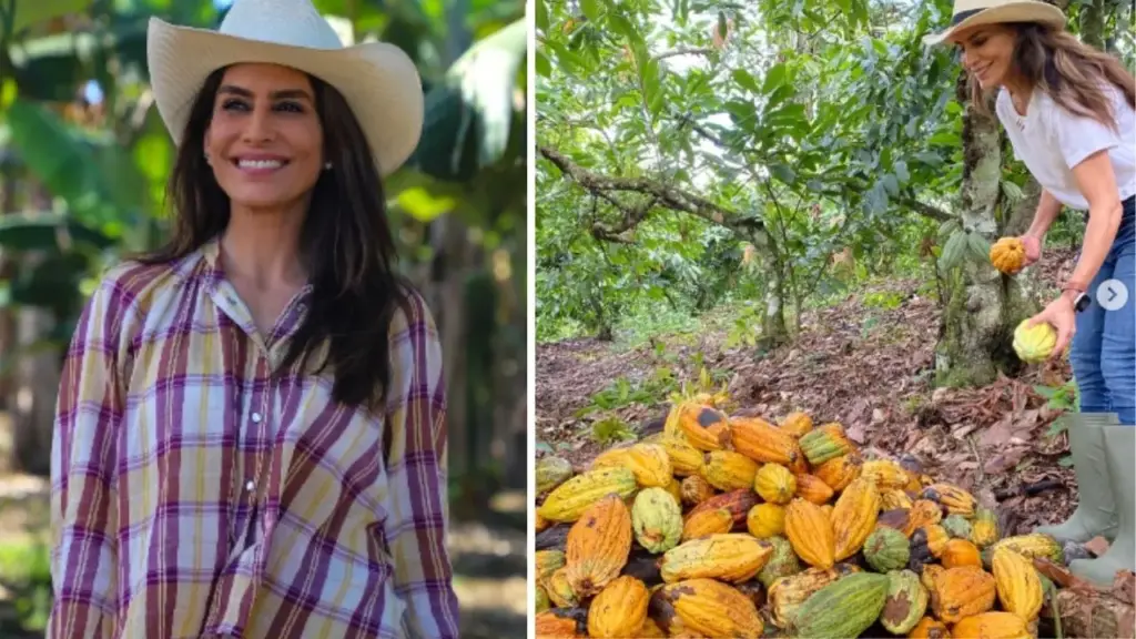 Ticiana Villas Boas ficou anos longe das redes e dos holofotes, reapareceu para assumir a produção de cacau da família na Bahia como quarta geração de cacauicultores e, após 2 anos estruturando uma fábrica própria de móveis, passou a dividir a nova rotina entre o campo e os negócios Ticiana Villas Boas ficou anos longe das redes e dos holofotes, reapareceu para assumir a produção de cacau da família na Bahia como quarta geração de cacauicultores e, após 2 anos estruturando uma fábrica própria de móveis, passou a dividir a nova rotina entre o campo e os negócios