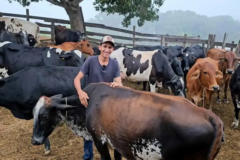 Namorada o deixou por causa dos animais, mas Pedro Vaqueiro continuou cercado pelo rebanho e transformou a separação numa vida simples de trabalho, cuidado diário e vídeos que levaram o interior de Minas Gerais para milhões de telas pelo Brasil