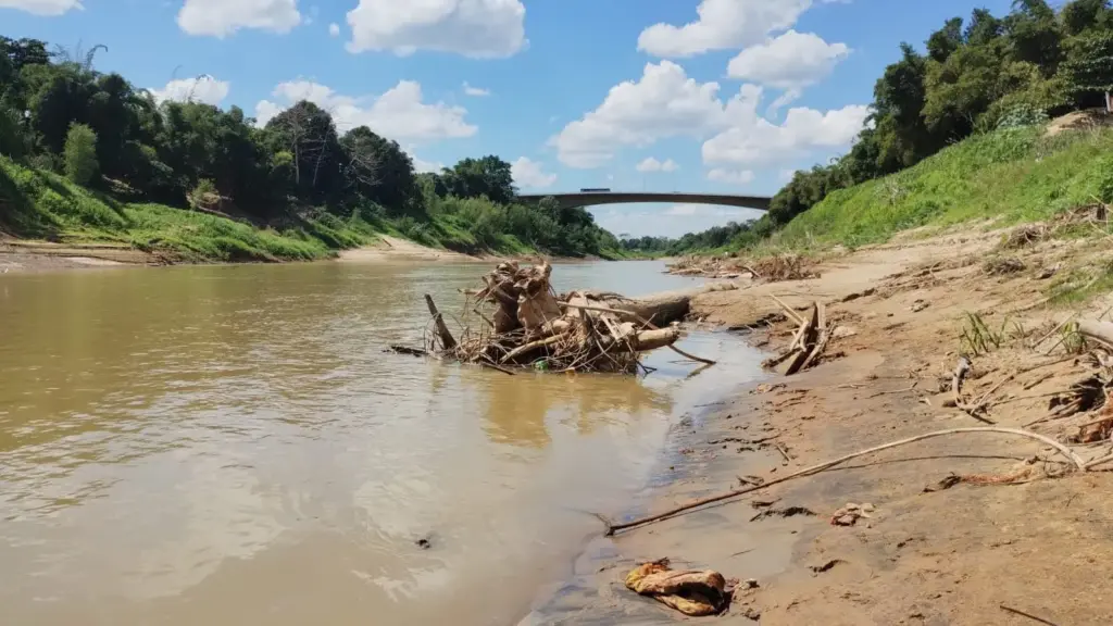 Estiagem se intensifica na capital: Rio Acre perde 63 cm de profundidade em menos de uma semana Estiagem se intensifica na capital: Rio Acre perde 63 cm de profundidade em menos de uma semana
