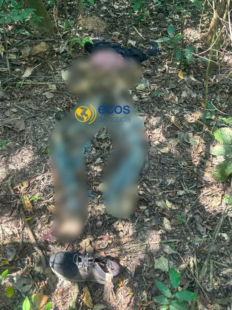 Ossada humana é encontrada em área de mata no Portal da Amazônia