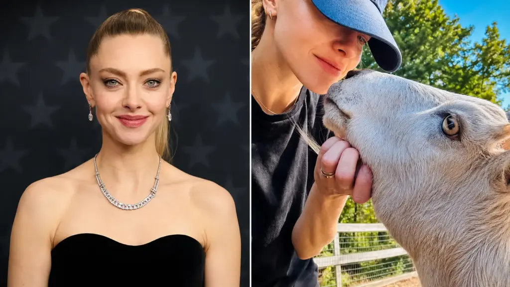 Amanda Seyfried mantém fazenda de resgate de 50 acres em Nova York com seis cavalos, pônei, burro e outros animais