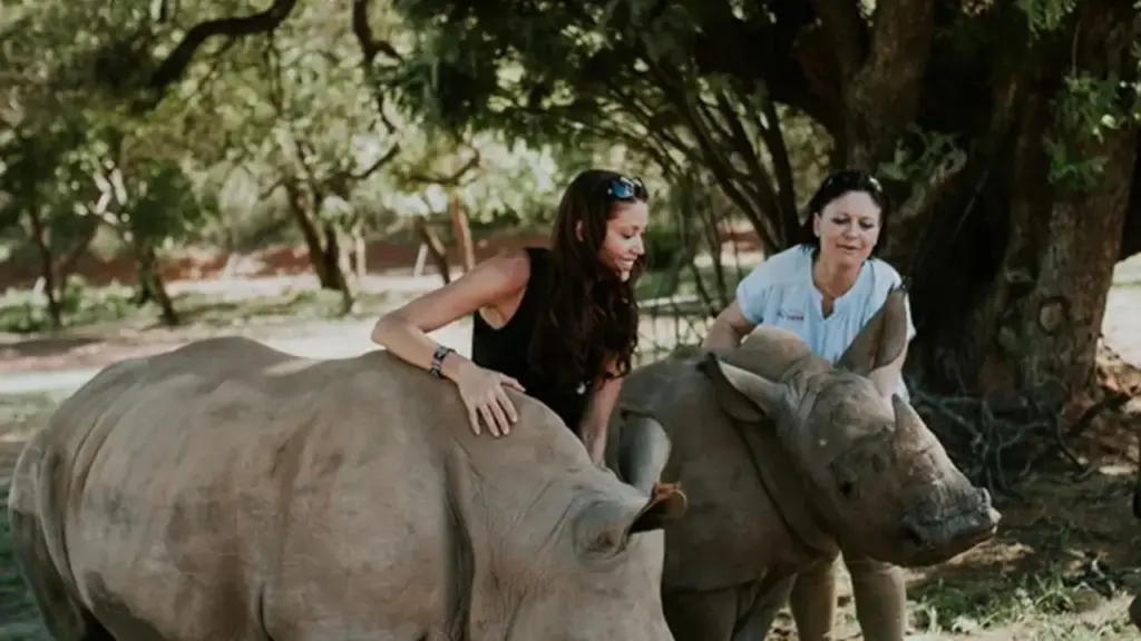 Shannon Elizabeth, atriz conhecida por American Pie, deixou a rotina de Hollywood, mudou-se para a África do Sul em 2016 e transformou sua dedicação aos animais em trabalho de conservação ligado a um santuário de 930 hectares para proteger espécies ameaçadas Shannon Elizabeth, atriz conhecida por American Pie, deixou a rotina de Hollywood, mudou-se para a África do Sul em 2016 e transformou sua dedicação aos animais em trabalho de conservação ligado a um santuário de 930 hectares para proteger espécies ameaçadas