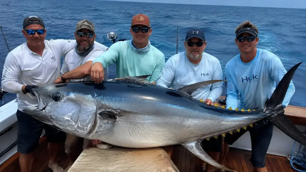 Pescadores passam 30 horas sem uma única fisgada em viagem de 36 horas, mas a 257 km da costa travam batalha de mais de cinco horas com atum-rabilho monstruoso de 401 kg e quebram recorde histórico do Texas