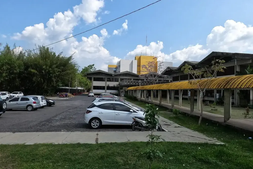 Aos 51 anos, servente de escola rural que ia de bicicleta para o trabalho e vendia na feira para completar a renda estudou sozinha, sem cursinho, e foi aprovada em Matemática na Universidade Federal do Pará, onde a família comemorou com banho de ovo e farinha no meio da rua Aos 51 anos, servente de escola rural que ia de bicicleta para o trabalho e vendia na feira para completar a renda estudou sozinha, sem cursinho, e foi aprovada em Matemática na Universidade Federal do Pará, onde a família comemorou com banho de ovo e farinha no meio da rua
